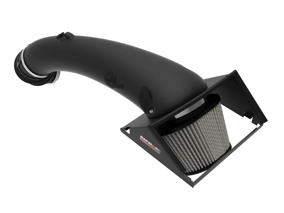 Afe Filters 52-10012D Rapid Induction Pro Dry S Air Intake System Fits F-150 1